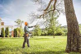 How Our Tree Care Process Works  in  Elmira Heights, NY